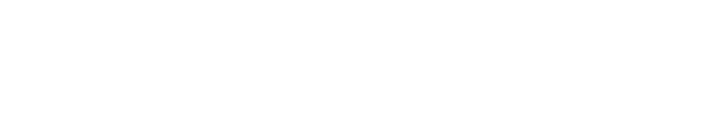 Heischneida text logo white